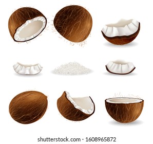 Coconut fruit set, vector illustration isolated on white background. Realistic fresh coconut whole, half, pieces, shredded flakes. Tropical food, organic natural product.