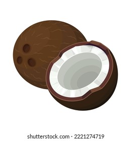 Coconut Fruit Vector Art Illustration