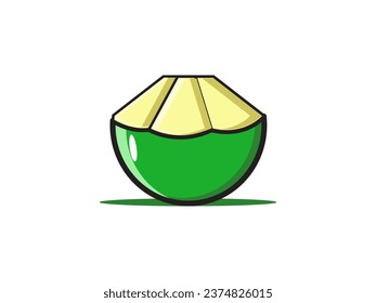 coconut fruit, vector graphic illustration, suitable for young coconut illustrations