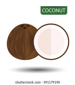 Coconut, fruit vector illustration