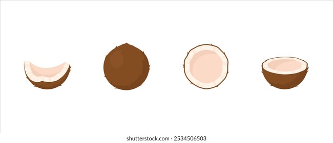Coconut fruit vector set. Isolated coconut sign. Juicy ripe organic fruit illustration. Sliced fruit in half and slice.
