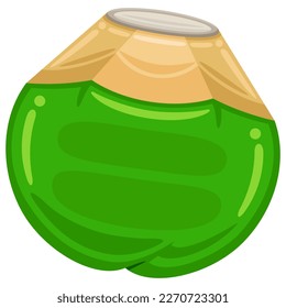 fruto de coco en ilustración de estilo vectorial