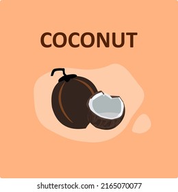 vector del fruto del coco del trópico
