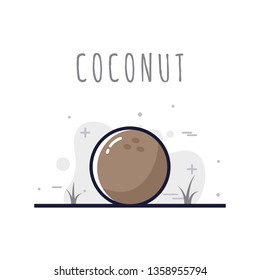 Coconut fruit with a white background