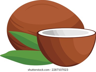 Coconut Fruit Whole and Half vector illustration isolated on white background