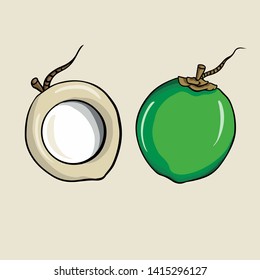 coconut fruit, whole and open in contents