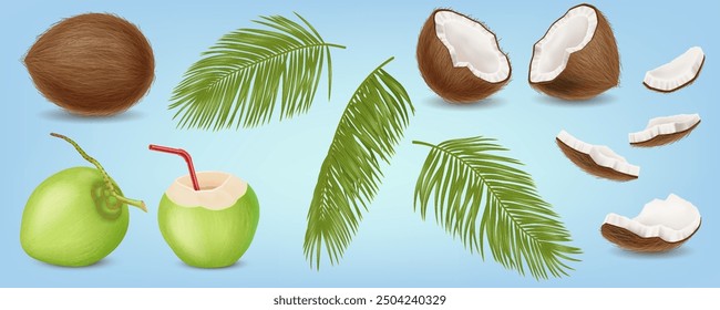 Frutas de coco y hojas de palmera conjunto de Ilustración vectorial realista. Naturaleza tropical. Deliciosos objetos 3d de plantas exóticas sobre fondo azul