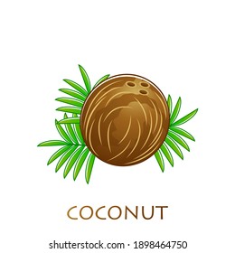 Coconut fruits poster in cartoon style. fresh juicy. isolated on white background including caption Coconut. Vector illustration.