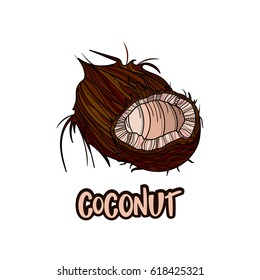 Coconut fruits poster in cartoon style. Isolated on white background. Including caption Coconut. Vector illustration.