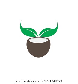 Coconut fruits vector ilustration design