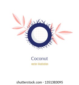 Coconut geometric style.Vector hand drawn vector illustration. Fresh organic  nut, fruit in flat style.Vector 