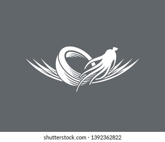 coconut, ginseng vector and palm leaf simpel vector