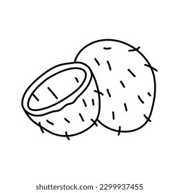 Coconut graphic black white isolated sketch illustration vector