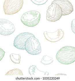 Coconut graphic color seamless pattern sketch illustration vector