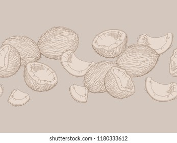 Coconut graphic color seamless pattern background sketch illustration vector