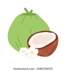 coconut. green coconut. drinking coconut. A tropical fruit. coconut grew on a palm tree. milk. an exquisite cocktail. a fruit painted in a flat style. vector. delicious milk.