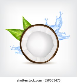 Coconut with green leaves and blue water splash. Vector icon. EPS10 vector