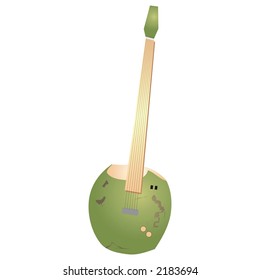 coconut guitar