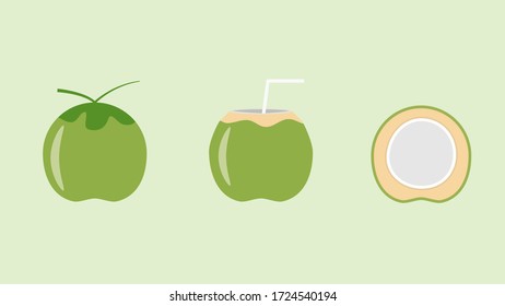 coconut and haft slice coconut vector design on green background