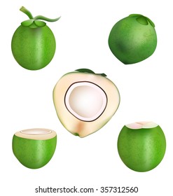 coconut and haft slice coconut vector design