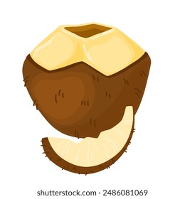 Coconut half. Cut coco nut fruit. Open tropical food with flesh and hard brown shell. Exotic eating, natural nutrition. Flat vector illustration isolated on white background