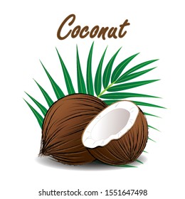 Coconut and half coconut. Decorated with palm leaves Isolated on white background.