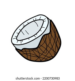 Coconut half doodle vector icon isolated on white background. Cute cartoon style outline coco nut in a shell, exotic food, fresh organic product, healthy nutrition full of essential fatty acids.