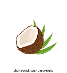 Coconut, half fruit and leaves. Vector illustration cartoon flat icon isolated on white.