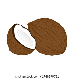 Coconut, half fruit and leaves. Vector illustration cartoon flat icon isolated on white. hand drawn vector.
