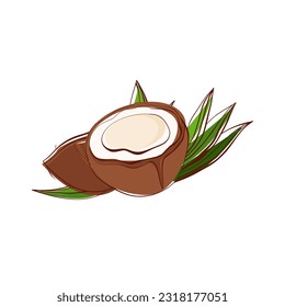 Coconut, half fruit and leaves. Vector illustration cartoon flat icon isolated on white.