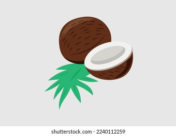Coconut half Fruit vector isolated on white background