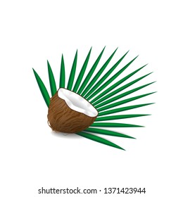 coconut half with green palm leaf isolated on white background, vector illustration