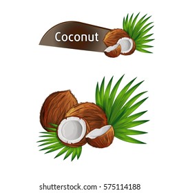 Coconut with half and green palm leaves set isolated on white background vector illustration. Organic food ingredient, natural tropical product. Coconut fruit with green palm leaves collection.