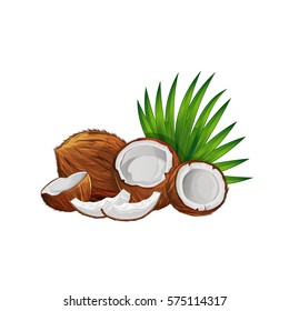 Coconut with half and green palm leaves set isolated on white background vector illustration. Organic food ingredient, natural tropical product. Coconut fruit with green palm leaves collection.