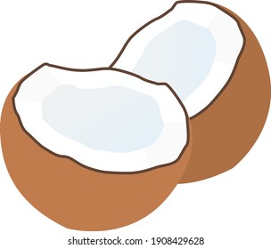 Coconut in half, illustration, vector on a white background.