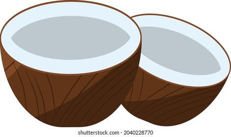 Coconut in half, illustration, vector on white background.