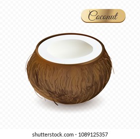 Coconut  half isolated on white background. Realistic cartoon style.  Vector illustration.