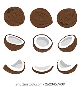 Noix de coco et demi-noix de coco isolés sur fond blanc. Icône illustration vectorielle de dessin animé de noix de coco plat. conception Illustration vectorielle