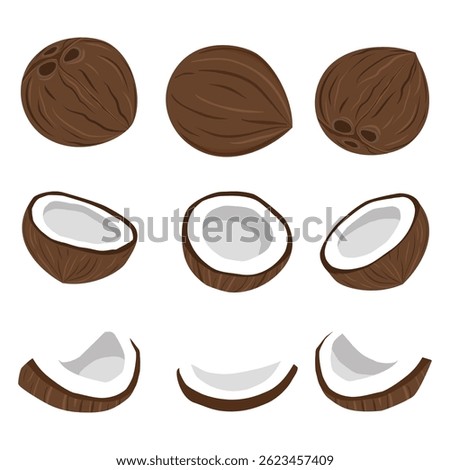 Coconut and half coconut isolated on white background. Cartoon vector illustration of flat coconut icon. Vector illustration design