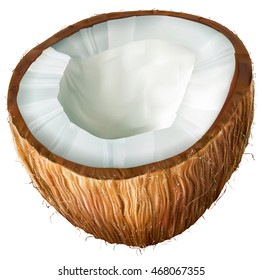 Coconut half on white background. Vector illustrator