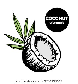 coconut half with palm leaf, black fruit, doodle, simple style element
