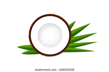 coconut half slice on leaf green, coconut brown fruit half cut isolated on white, illustration coconut half slice for clip art, coconut freshness fruit simple for icon