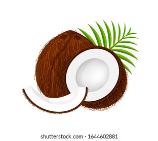 coconut half slice on leaf green, coconut brown fruit half cut isolated on white, illustration coconut half slice for clip art, coconut freshness fruit simple for icon