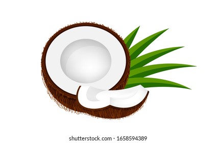 coconut half slice on leaf green, coconut brown fruit half cut isolated on white, illustration coconut half slice for clip art, coconut freshness fruit simple for icon, vector