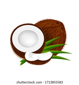 coconut half slice on leaf green, coconut brown fruit half cut isolated on white, illustration coconut half slice for clip art, coconut freshness fruit simple for icon, vector