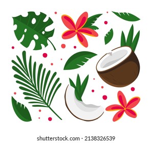 Coconut half with tropical green leaves and flowers Vector illustration isolated on white