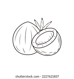 Coconut. Half and whole nut with leaves. Cartoon line art icon, exotic tropical fruit. Food packaging design. Contour isolated vector illustration svg