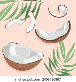 Coconut halves of different sizes and its shavings with palm branches. Vector images fruits. Tropical fruits.