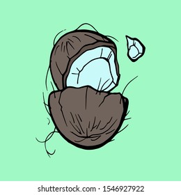Coconut hand draw illustration. Vector logo isolated on white background,