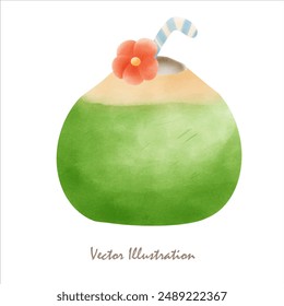 coconut  hand drawing water color vector illustration 